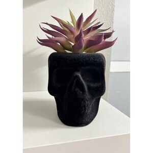 NEW Black Velvet Skull Head Succulent Potted Plant Halloween Decor